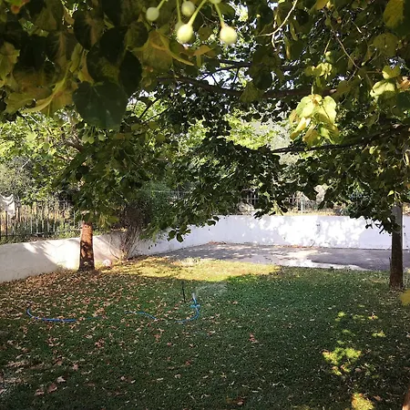 Halkidiki Luxury Vila-oasis Private Pool & Jacuzzi